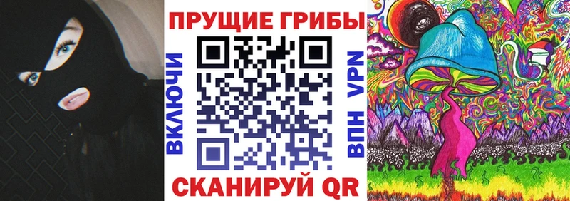 Галлюциногенные грибы Psilocybe  купить закладку  Циолковский 